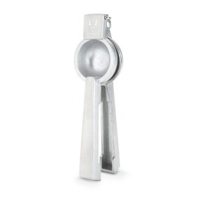 Citrus Juicer in Silver ViskiÂ