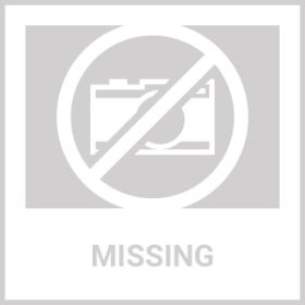 Ice Sphere Molds Foster & Ryeâ